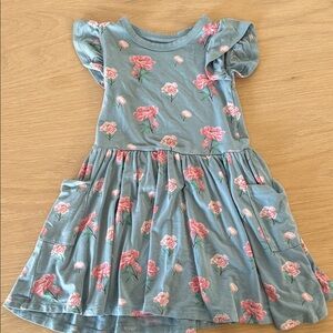 Kyte Baby pocket dress 2T VGUC minor pilling